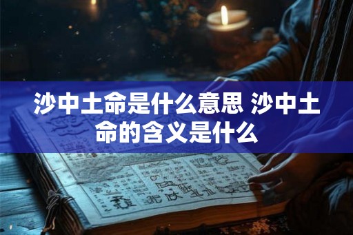 沙中土命是什么意思 沙中土命的含义是什么