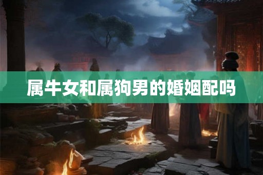 属牛女和属狗男的婚姻配吗