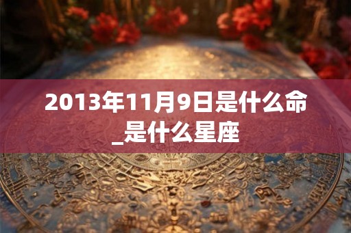 2013年11月9日是什么命_是什么星座