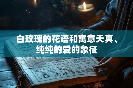 白玫瑰的花语和寓意天真、纯纯的爱的象征