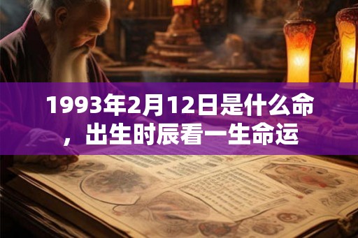 1993年2月12日是什么命，出生时辰看一生命运