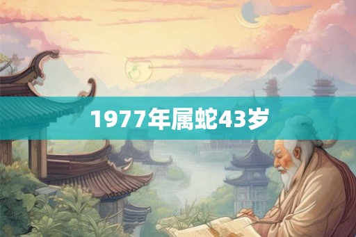 1977年属蛇43岁 1977年属蛇43岁