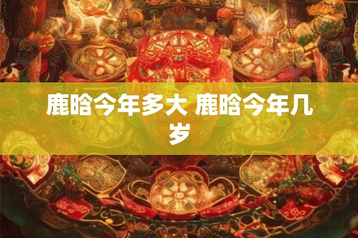 鹿晗今年多大 鹿晗今年几岁