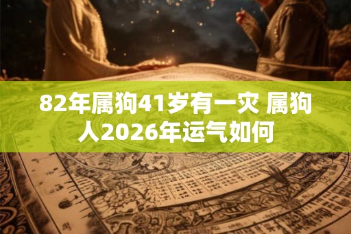 82年属狗41岁有一灾 属狗人2026年运气如何