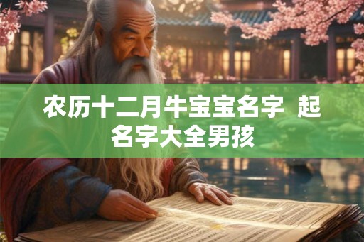 农历十二月牛宝宝名字  起名字大全男孩