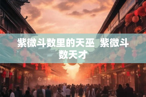紫微斗数里的天巫  紫微斗数天才