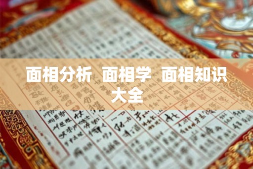 面相分析 面相学 面相知识大全 面相分析 面相学 面相知识大全