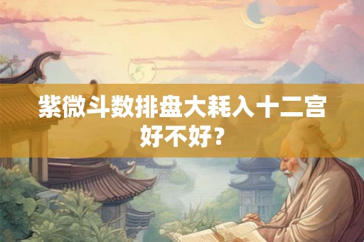紫微斗数排盘大耗入十二宫好不好？