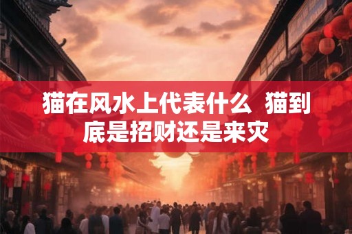 猫在风水上代表什么  猫到底是招财还是来灾