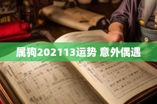属狗202113运势 意外偶遇