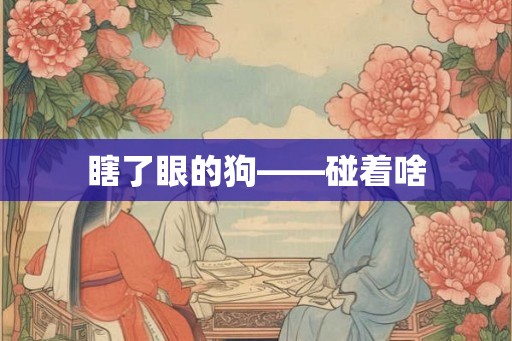 瞎了眼的狗——碰着啥