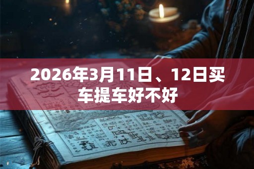 2026年3月11日、12日买车提车好不好