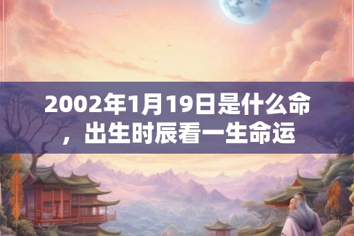 2002年1月19日是什么命，出生时辰看一生命运