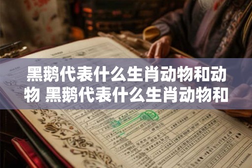 黑鹅代表什么生肖动物和动物 黑鹅代表什么生肖动物和动物呢