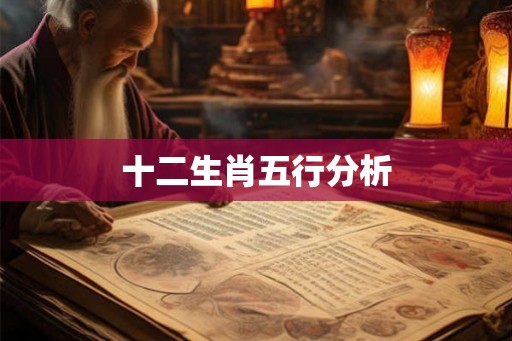 十二生肖五行分析 十二生肖五行分析