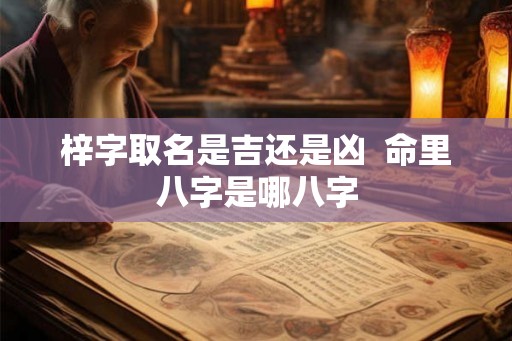 梓字取名是吉还是凶  命里八字是哪八字