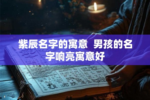 紫辰名字的寓意  男孩的名字响亮寓意好