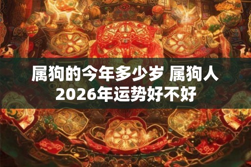 属狗的今年多少岁 属狗人2026年运势好不好