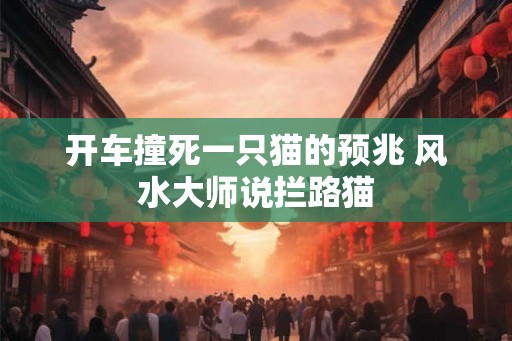 开车撞死一只猫的预兆 风水大师说拦路猫