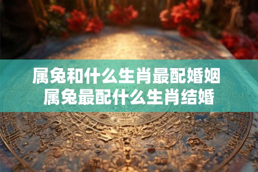 属兔和什么生肖最配婚姻 属兔最配什么生肖结婚