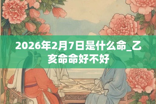 2026年2月7日是什么命_乙亥命命好不好