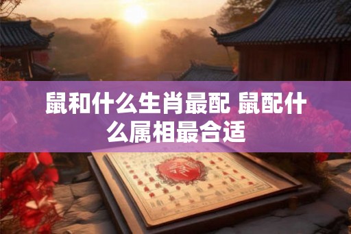 鼠和什么生肖最配 鼠配什么属相最合适