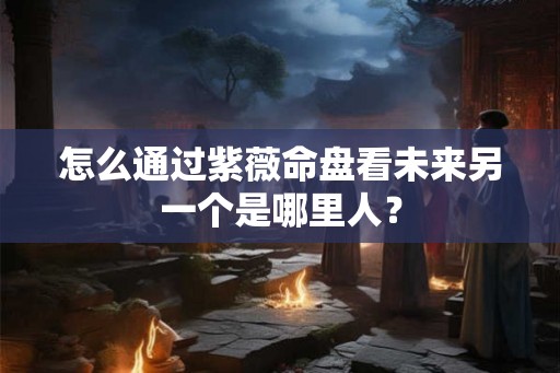 怎么通过紫薇命盘看未来另一个是哪里人？