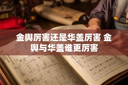 金舆厉害还是华盖厉害 金舆与华盖谁更厉害