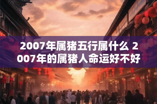 2007年属猪五行属什么 2007年的属猪人命运好不好