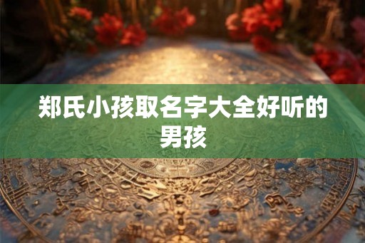 郑氏小孩取名字大全好听的男孩