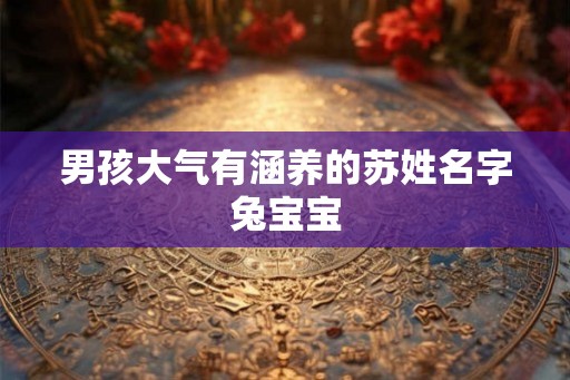 男孩大气有涵养的苏姓名字兔宝宝