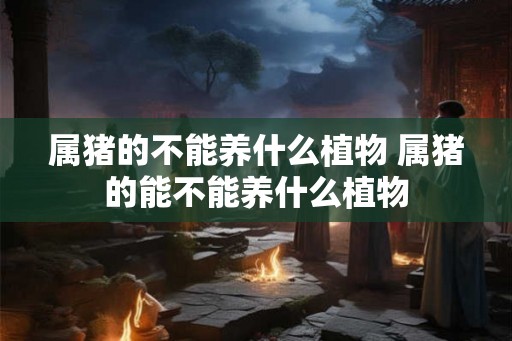 属猪的不能养什么植物 属猪的能不能养什么植物 属猪的不能养什么植物 属猪的能不能养什么植物