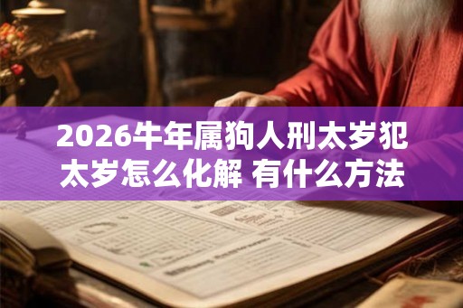 2026牛年属狗人刑太岁犯太岁怎么化解 有什么方法