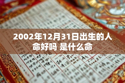 2002年12月31日出生的人命好吗 是什么命