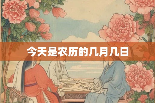 今天是农历的几月几日