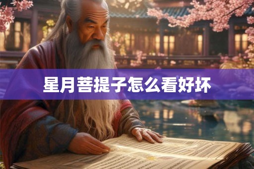 星月菩提子怎么看好坏