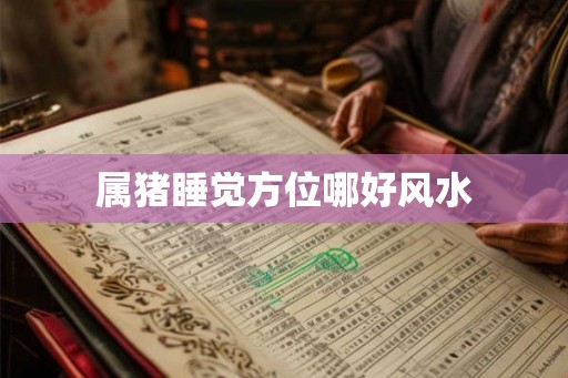 属猪睡觉方位哪好风水 属猪睡觉方位哪好风水