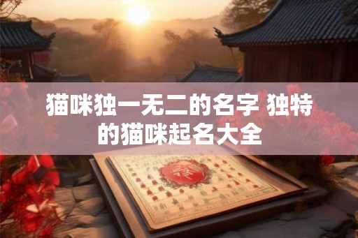 猫咪独一无二的名字 独特的猫咪起名大全