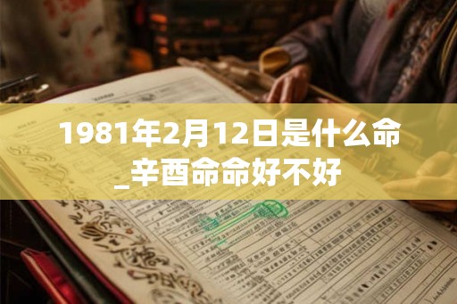 1981年2月12日是什么命_辛酉命命好不好
