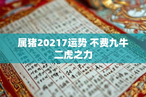 属猪20217运势 不费九牛二虎之力
