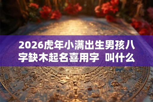 2026虎年小满出生男孩八字缺木起名喜用字  叫什么好