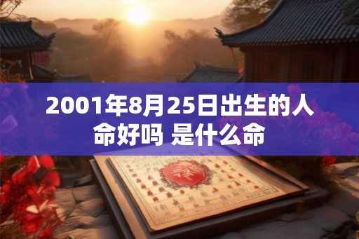 2001年8月25日出生的人命好吗 是什么命
