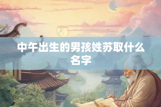 中午出生的男孩姓苏取什么名字