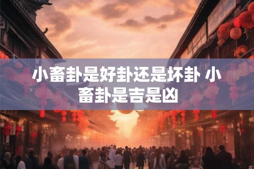 小畜卦是好卦还是坏卦 小畜卦是吉是凶