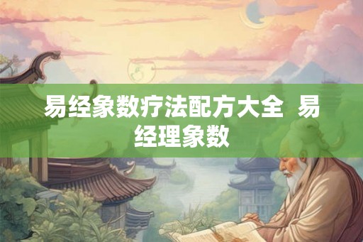 易经象数疗法配方大全  易经理象数
