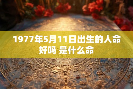1977年5月11日出生的人命好吗 是什么命