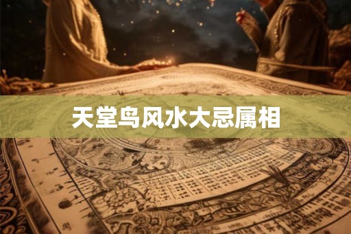 天堂鸟风水大忌属相