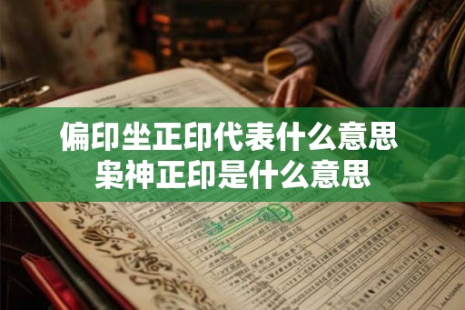 偏印坐正印代表什么意思 枭神正印是什么意思