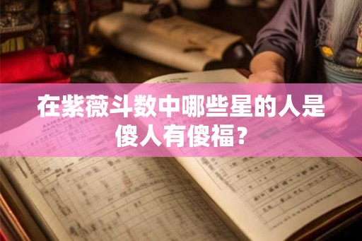 在紫薇斗数中哪些星的人是傻人有傻福？