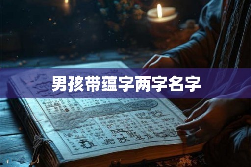男孩带蕴字两字名字